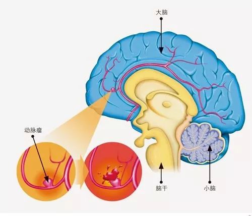 1559523930352480.jpg 4.jpg