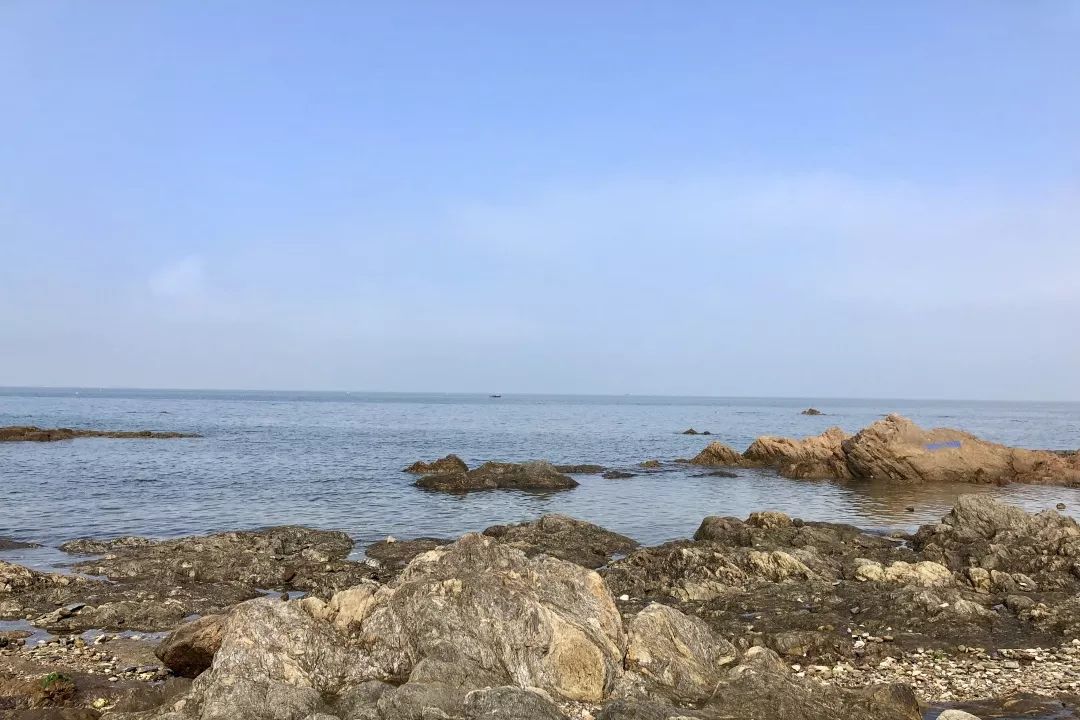 面朝大海，直击朗润医疗磁共振科技前沿盛宴！